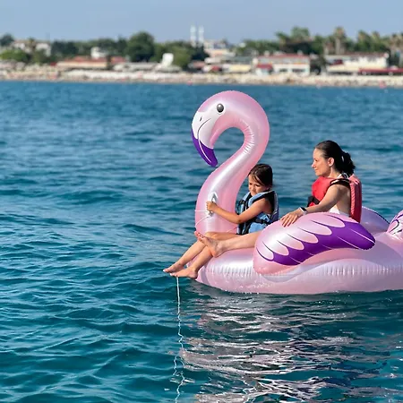 Apollon Boat Tour